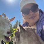 Лилия, фото