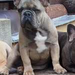 Наталья, фото