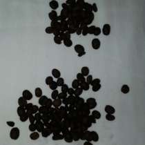 Кофе в зернах Casher Арабика Эфиопия Джимма, в г.Киев