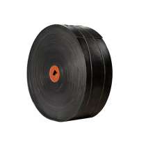 Лента конвейерная 2ЛМ-650-5-ТК-200-5/2, РБ, в Красноярске