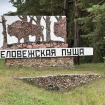 Из Брест: трансфер на экскурсию в Беловежскую пущу и обратно, в г.Брест