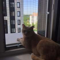 Балкончик для кошек, в Москве