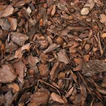 Мульча, в Москве