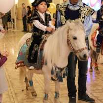 Белая пони маленькая лошадка, в г.Алматы