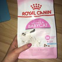 Royal Canin для беременных/кормящих кошек и котят, в Тюмени