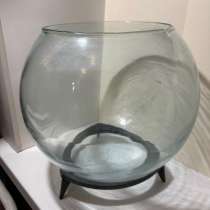 Аквариум, в Москве