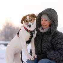 Ищет дом маленькая белая принцесса, в Москве