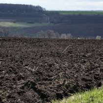 Агрохозяйство 452 гектара, Старобешево, в г.Донецк