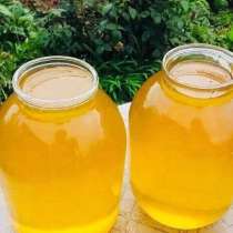 Продам мёд со своей пасеки, урожай 2023 года. Разнотравье, в г.Луганск