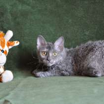 Девочка умница. Мечта сбыается, в Москве