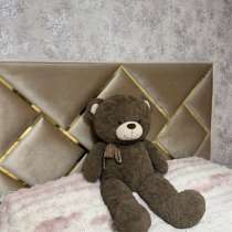 Мягкий медведь, в Грозном