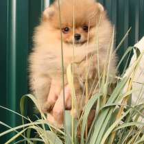 Ищем самые лучшие ручки, в Москве