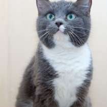 Нежная Пайпер ждет встречи с лучшим другом, в Москве