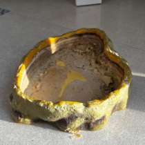 Поилка для рептилий, в Селятино