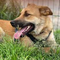 Симона. Ищет Дом, в Москве