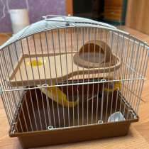 КЛЕТКА ДЛЯ ГРЫЗУНОВ, в Новосибирске