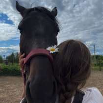 Фотосесси с лошадью, в Смоленске