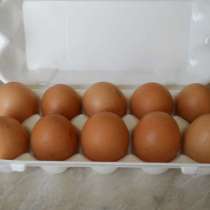 Продаю яйца куринные, в Сергиевом Посаде