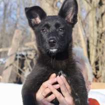 В поисках дома маленькая умничка Юта!, в Москве