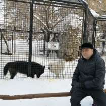 Observer, 52 года, хочет познакомиться – Знакомства, в Новосибирске