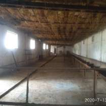 Продам ферма для разведения крупно рогатого скота, в г.Ташкент