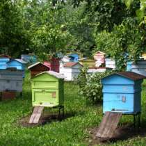 Продаю улья с пчелами, в Нижнем Новгороде