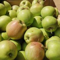 Яблоки Лигол, в Краснодаре