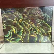 Аквариум на 100 литров, в Саратове