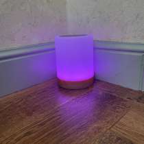 Лампа, в Москве