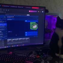 Монитор, в Санкт-Петербурге