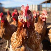 Разнорабочий вахта 60 дней Новосибирск, в Новосибирске