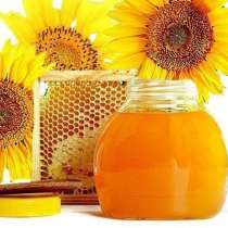 Продам мед с подсолнечника, в г.Луганск