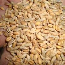 Тверская АПК реализует пшеницу кормовую фуражную, овес, в Бежецке