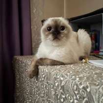 Продается, в г.Стамбул