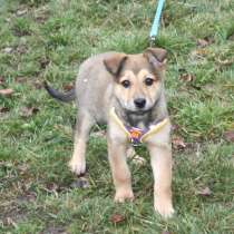 Малышка Нюша очень ждет своего родного ЧЕЛОВЕКА, в Москве