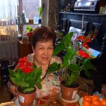 Татьяна, 68 лет, хочет найти новых друзей – Ищу друзей по возрасту, в Москве