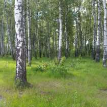 Симферопольское шоссе, участок с лесными деревьями, г. Чехов, в Москве