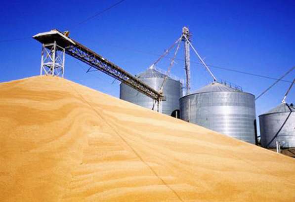 Экспорт зерна пшеницы