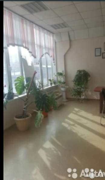 Офисное помешение 164м в Красноярске фото 5