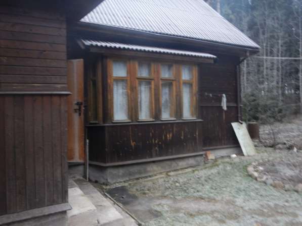 Продам участок с домом и баней в 8 км от города Выборга в Выборге фото 7