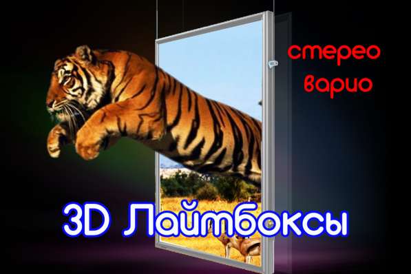 Живой лайтбокс в фото 3