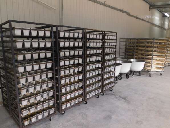 Полный комплект оборудования для хлебопекарного производства в Нальчике фото 4