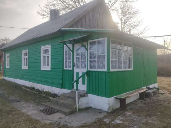 Дом в Беловежской пуще в 