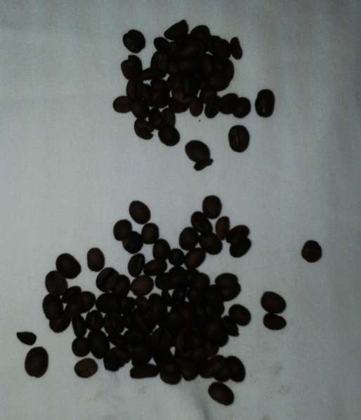 Кофе в зернах Casher Арабика Эфиопия Джимма