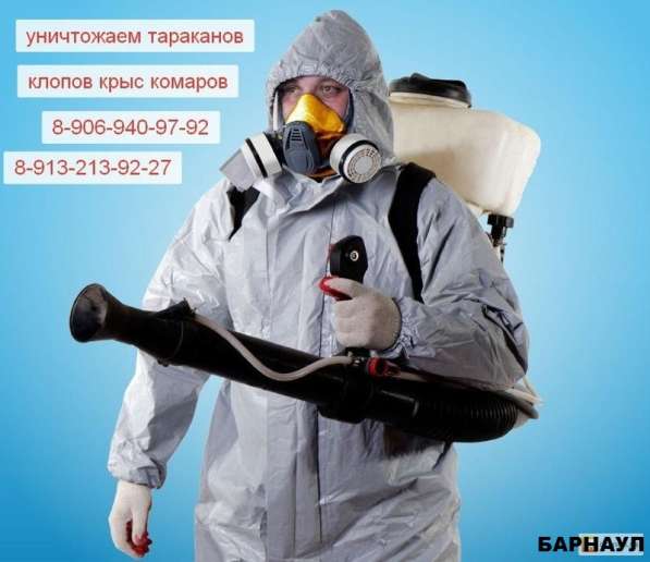 Тараканы Барнаул в Барнауле фото 3