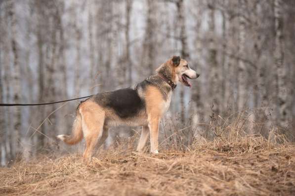 Молодой энергичный Майор ищет семью в Москве фото 49