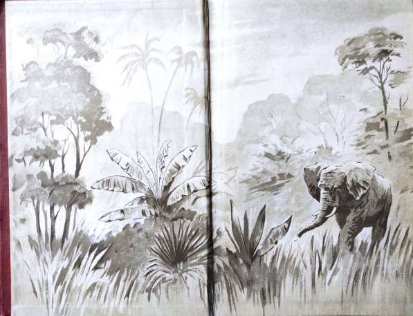 В тропической Африке. Записки ботаника - Баранов А. П., 1956 в фото 9