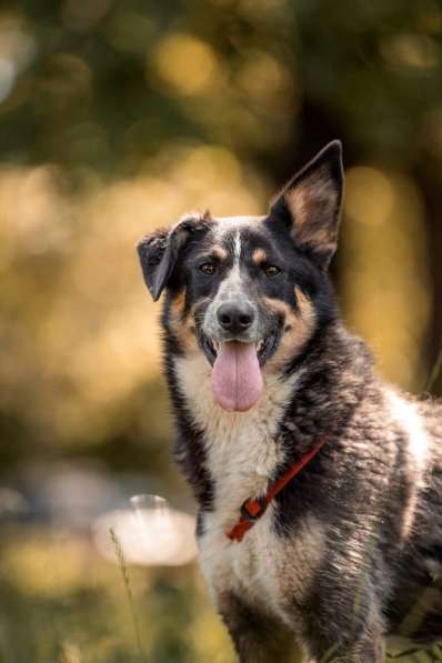 Том ищет дом в Москве фото 13