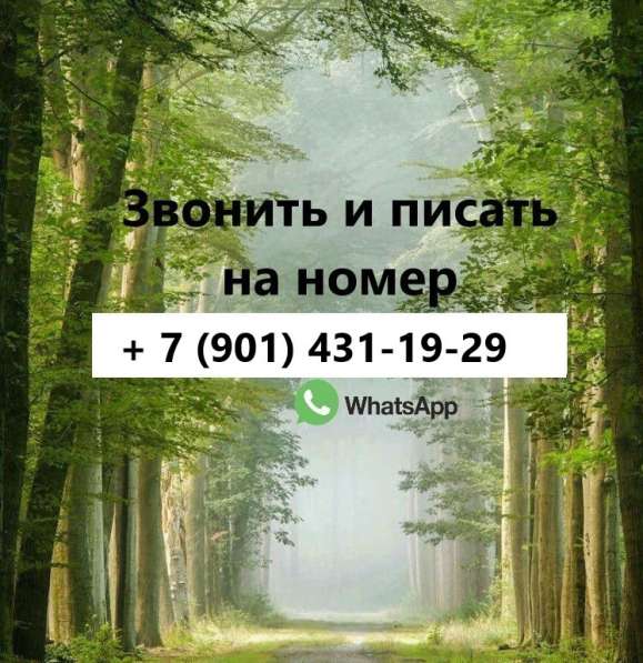 Сдам 1 - к квартиру на длительный срок в Белово фото 9
