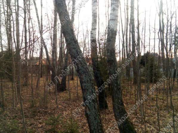 realty_mapper3.plot_in_locationИндивидуальное жилищное ст-во. Площадь 15.00 сот.Есть Электричество. в Москве фото 20